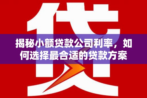 巴音郭楞蒙古揭秘小额贷款公司利率，如何选择最合适的贷款方案