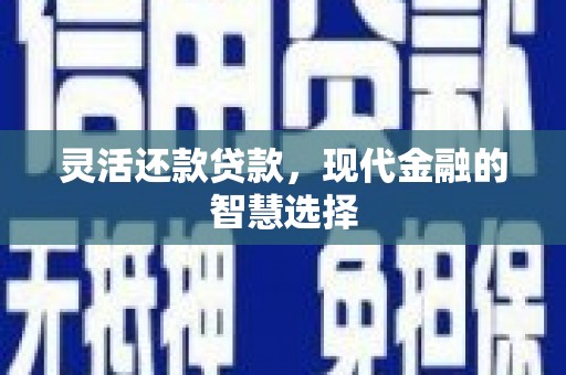 巴音郭楞蒙古灵活还款贷款，现代金融的智慧选择
