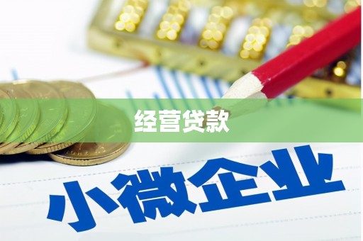 巴音郭楞蒙古经营贷款