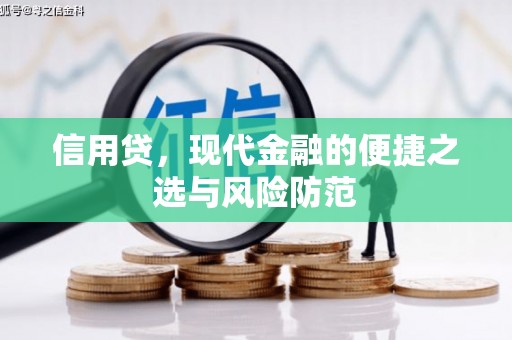 巴音郭楞蒙古信用贷，现代金融的便捷之选与风险防范
