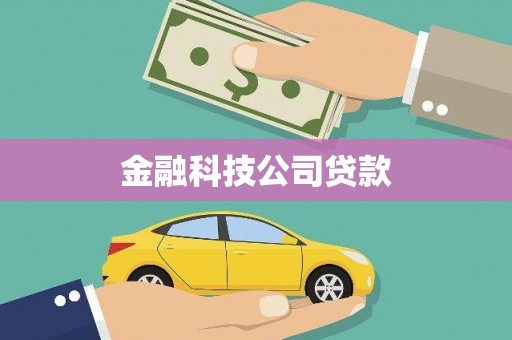 巴音郭楞蒙古金融科技公司贷款