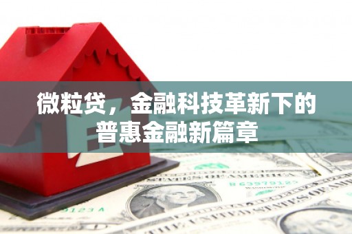 巴音郭楞蒙古微粒贷，金融科技革新下的普惠金融新篇章