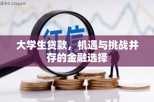 巴音郭楞蒙古大学生贷款，机遇与挑战并存的金融选择