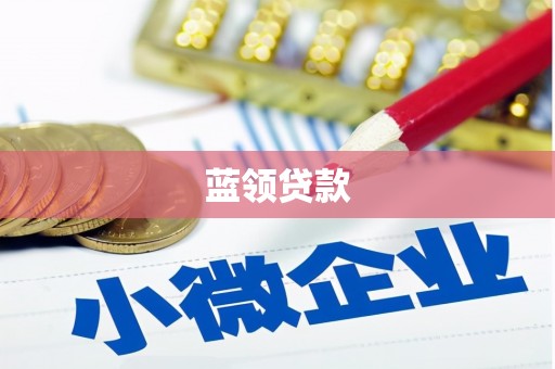 巴音郭楞蒙古蓝领贷款