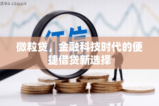 巴音郭楞蒙古微粒贷，金融科技时代的便捷借贷新选择