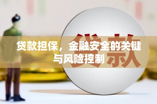 巴音郭楞蒙古贷款担保，金融安全的关键与风险控制