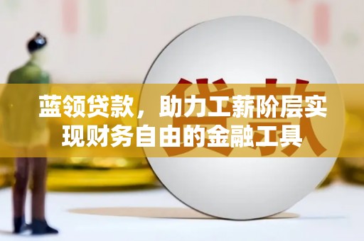 巴音郭楞蒙古蓝领贷款，助力工薪阶层实现财务自由的金融工具