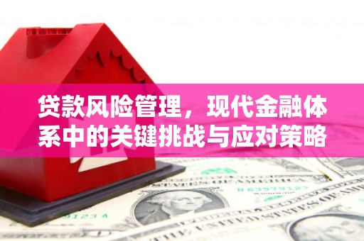 巴音郭楞蒙古贷款风险管理，现代金融体系中的关键挑战与应对策略