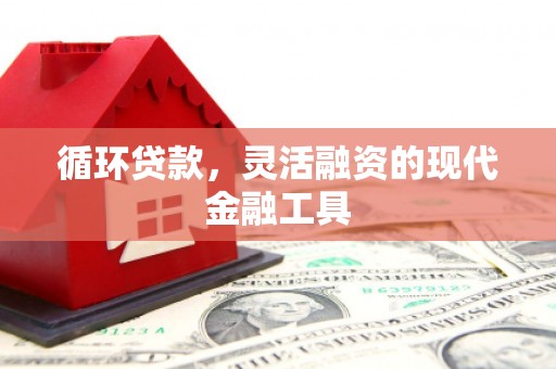 巴音郭楞蒙古循环贷款，灵活融资的现代金融工具