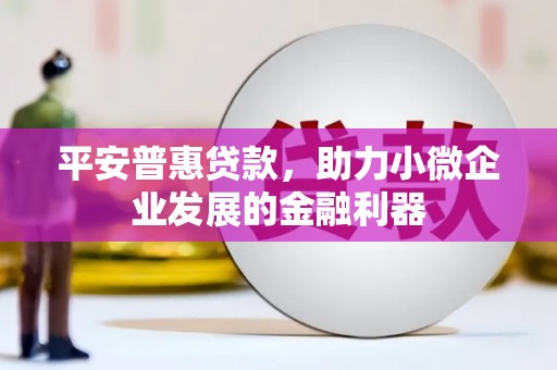 巴音郭楞蒙古平安普惠贷款，助力小微企业发展的金融利器