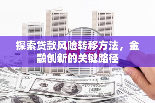 巴音郭楞蒙古探索贷款风险转移方法，金融创新的关键路径