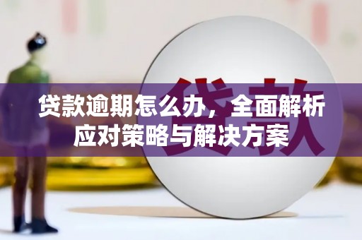 巴音郭楞蒙古贷款逾期怎么办，全面解析应对策略与解决方案